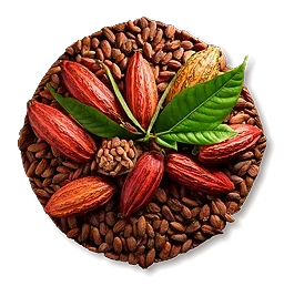 Cocoa