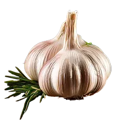 Garlic