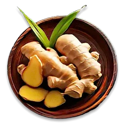 Ginger